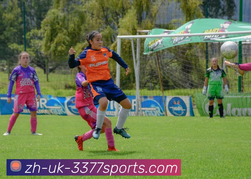 3377Sports平台生态图